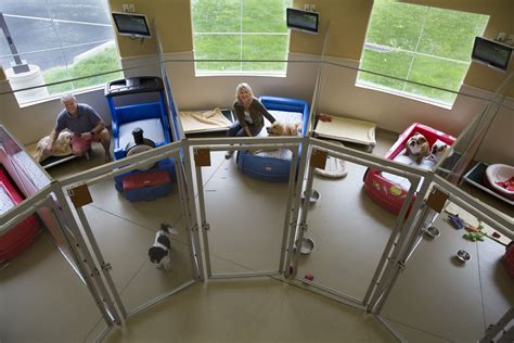 Dog Boarding, Grooming, Daycare .